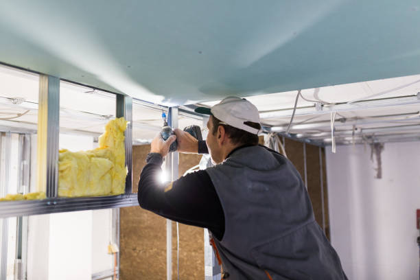 Best Home Insulation Services  in Delavan, WI