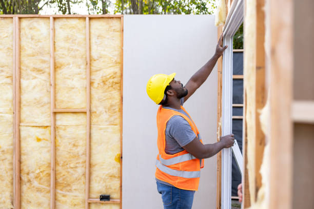 Best Best Insulation Companies  in Delavan, WI