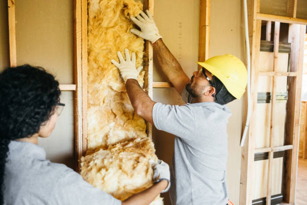 Best Garage Insulation Installation  in Delavan, WI