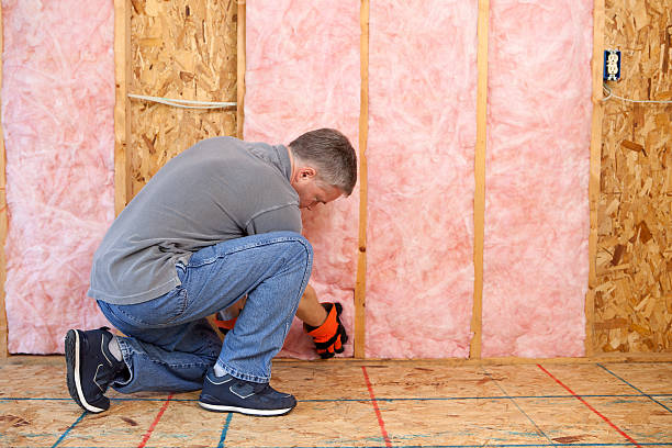 Best Insulation Contractors for Homes  in Delavan, WI