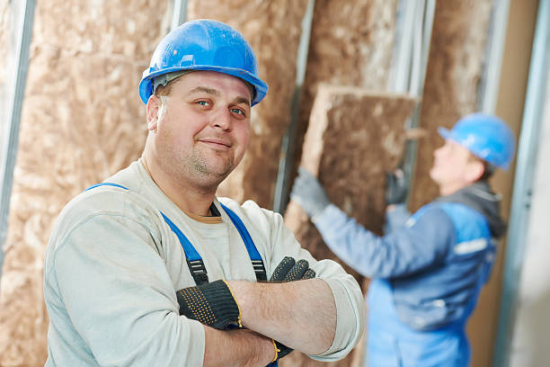 Best Fiberglass Insulation  in Delavan, WI